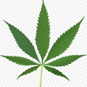 Recreational Marijuana