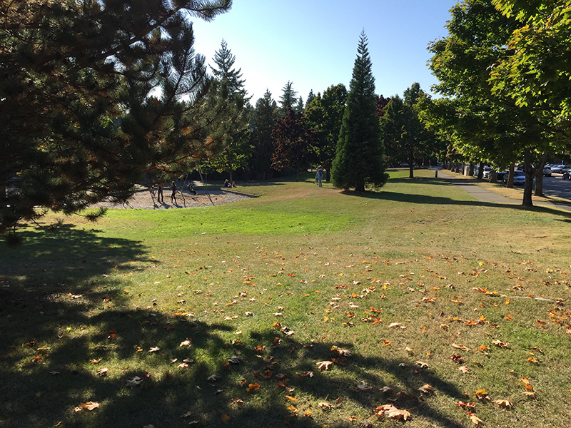 Bryant Neighborhood Playground Parks seattle.gov