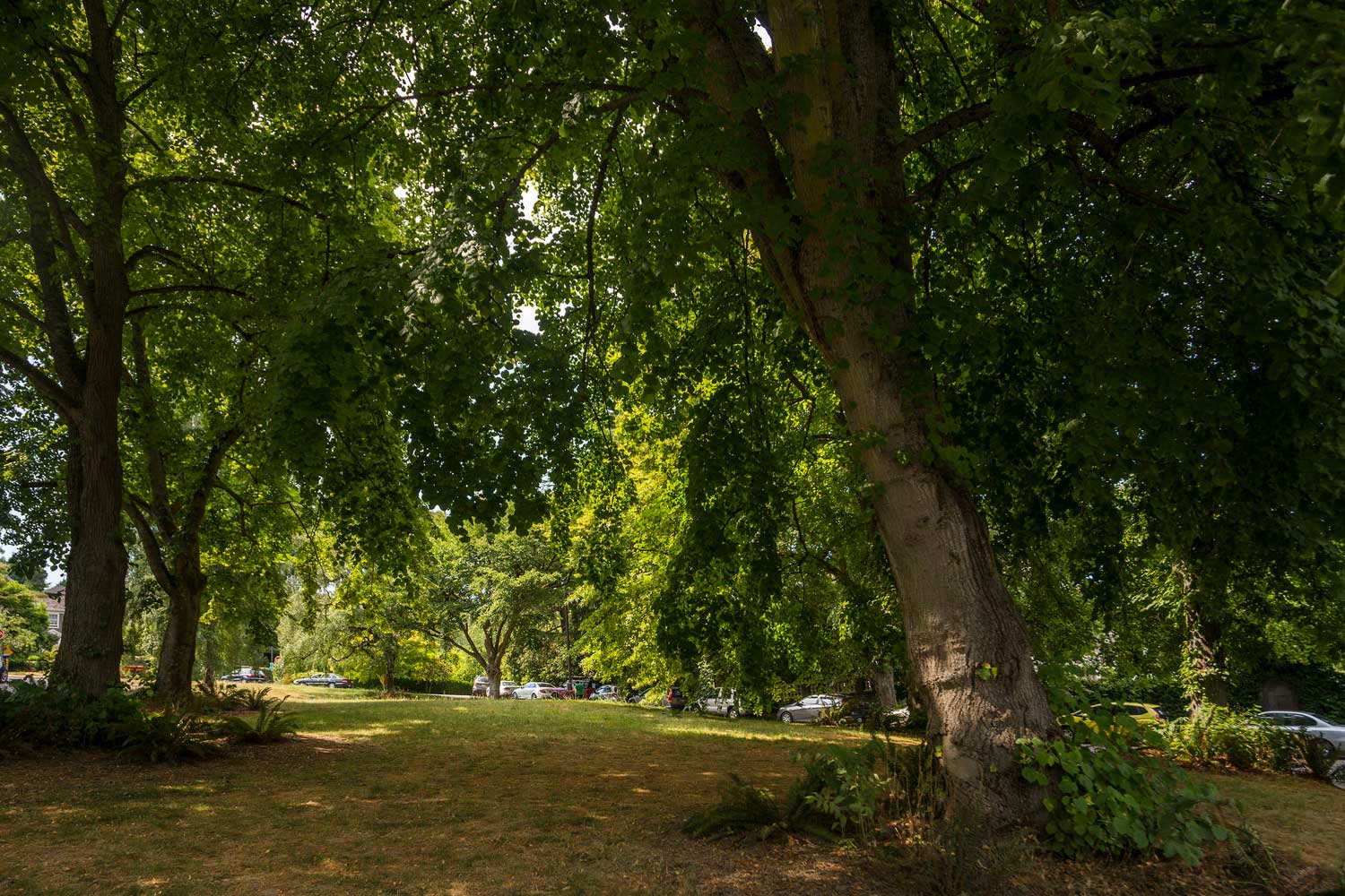 Denny Blaine Park Parks seattle.gov