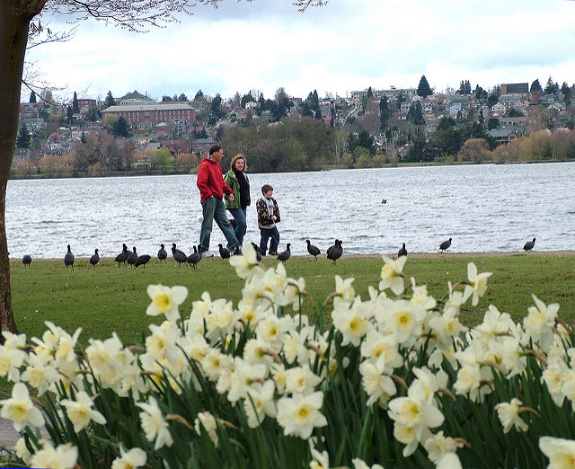 Green Lake Park Parks seattle.gov