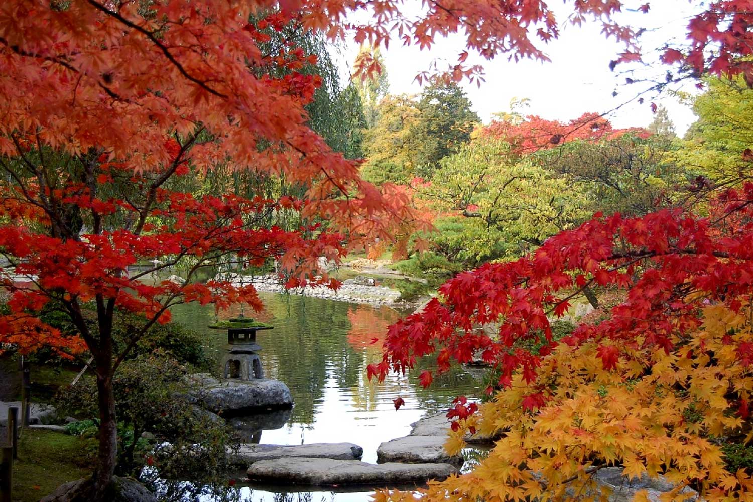 Japanese Garden - Parks | seattle.gov