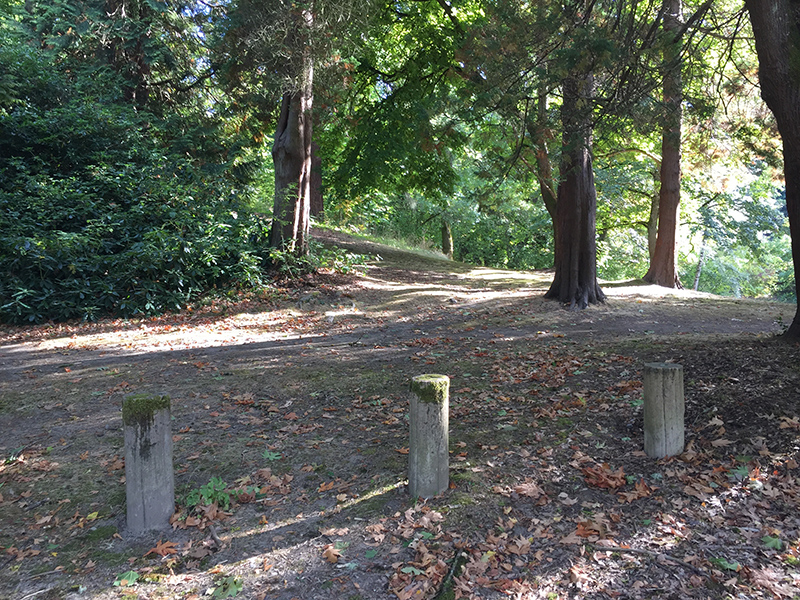 Lakeview Park Parks seattle.gov