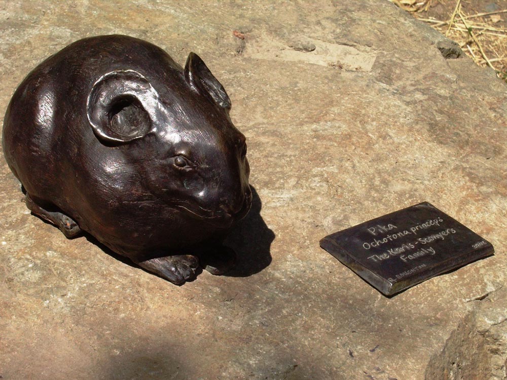 Ravenna Park Parks seattle.gov