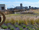 This green roof is an example of the Seattle Green Factor