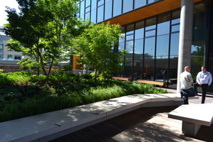 Amazon Phase IV - Corporate Campus