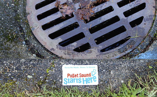 "Puget Sound Starts Here" marked storm drain