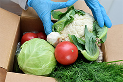 Box of vegetables