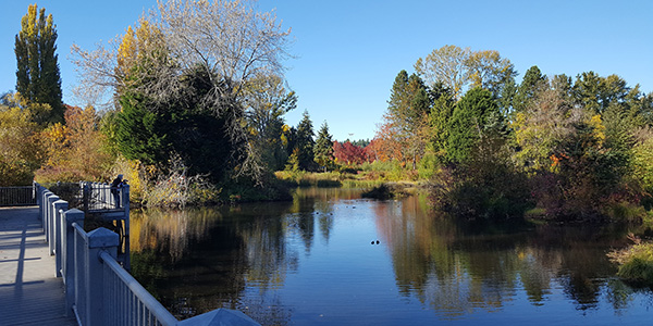 Photo of Meadowbrook Pond