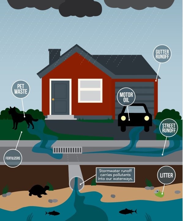 Residential home and common sources of pollution noted: pet waste, motor oil, gutter runoff, street runoff, litter, and fertilizers. Stormwater runoff carries pollutants into our waterways.