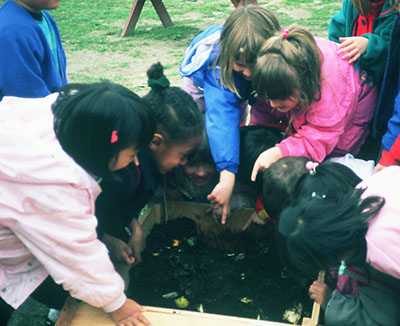 Photo of children looking at worm bin