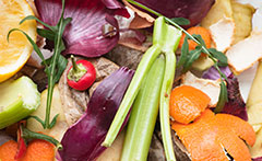 Photo of vegetables in compost
