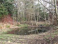 Photo of a detention pond #1