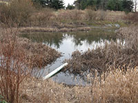 Photo of a detention pond #2