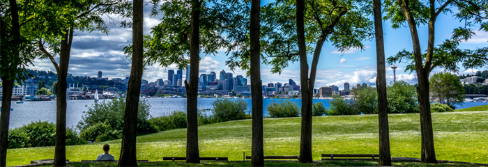 A sunny day at Gasworks Park