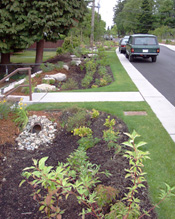 A section of redesigned roadside in the Broadview Green Grid project demonstrates some of the features used to slow and control stormwater runoff, such as narrower paved sidewalks, wider landscaped areas, and drainage swales.
