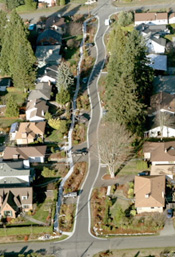 An aerial view of Seattle's pilot Street Edge Alternative street project on 2nd Ave NW shows a road curving with the natural topography of the area and lined with swales to improve stormwater drainage.