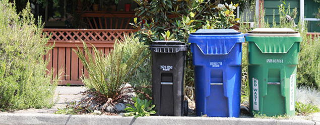 Photo of solid waste containers on curb