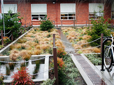 Image shows a bioretention facility with channels for rainwater, plantings, and a school building in background.