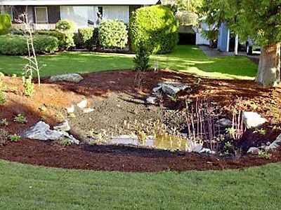 Photograph of a rain garden bioretention system in a residential yard, with a depression filled with rocks, plants and other materials surrounded by lawn.