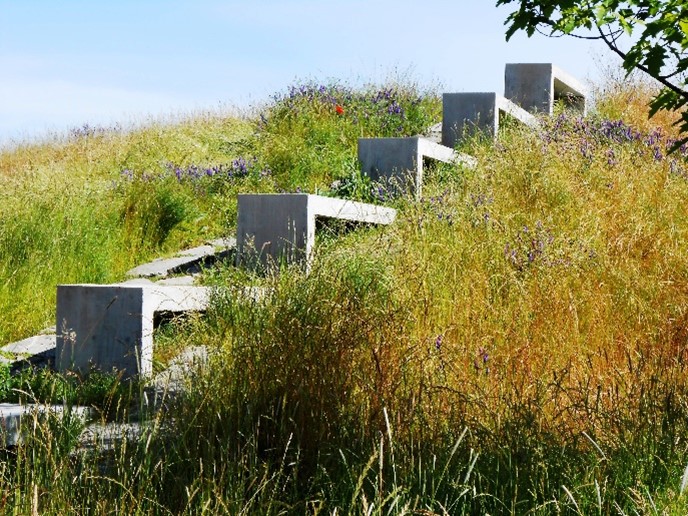 a hillside of long green grass surrounding a concrete sculpture resembling a staircase, against a blue sky