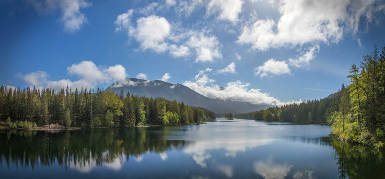 Our Watersheds - Utilities | seattle.gov