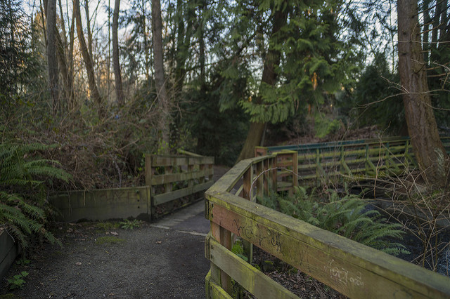 Longfellow Creek Greenspace at Brandon St.