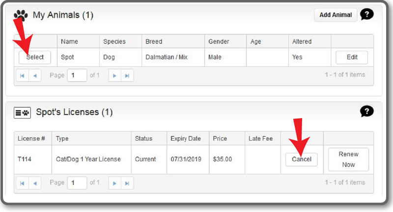 Screenshot of online licensing tool