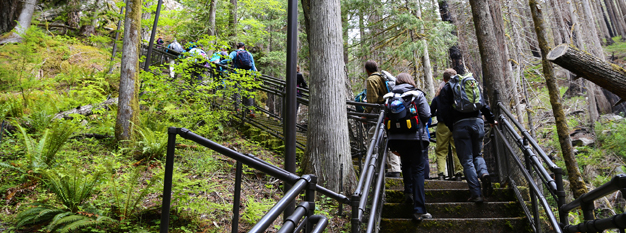 Hikers walking up a trail through the trees