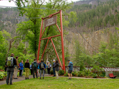 A group of hikers at the Trail of the Cedars trailhead