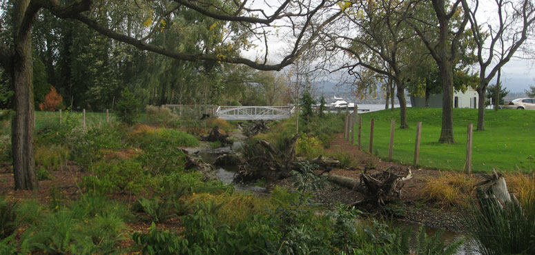 Mapes Creek Restoration