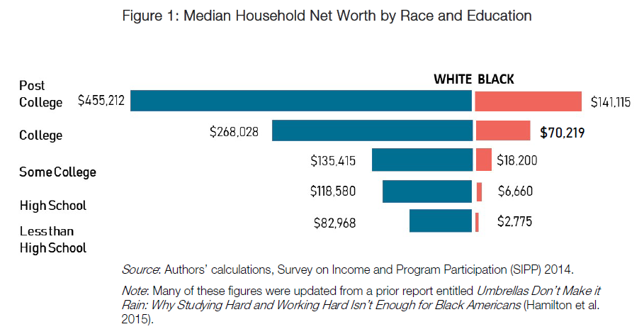 Graph showing net worth broken out by race