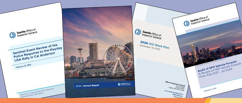 OIG Reports Page Banner made of reports spread across the screen