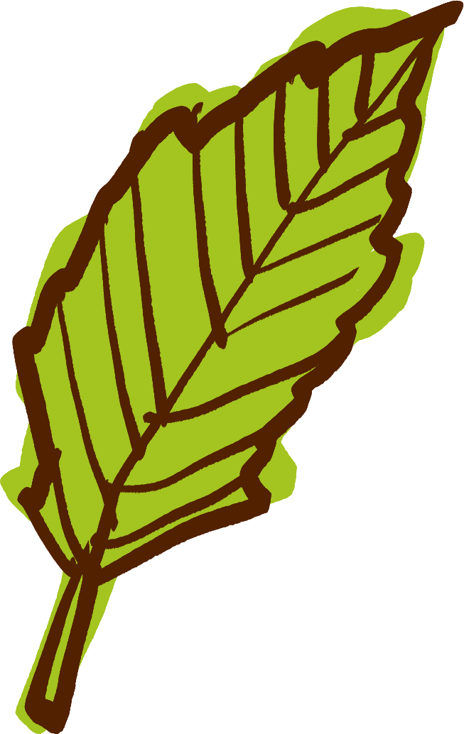 A graphic illustration of a green leaf