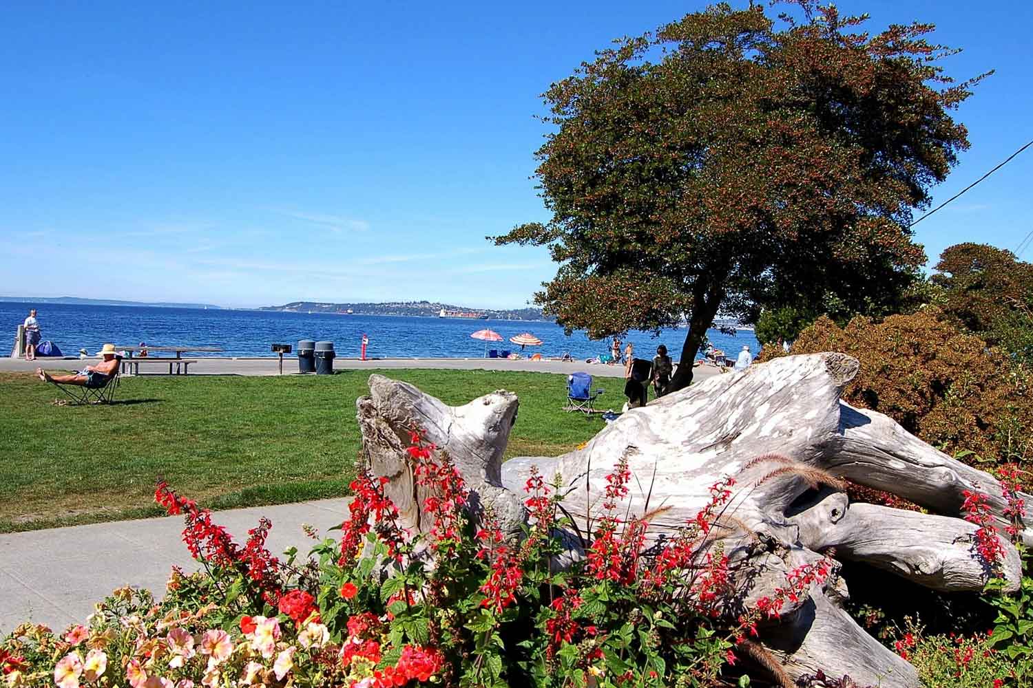 Alki Beach Park Parks Seattle Gov Greene At Alki Beach Park Photo By Laurel Mercury