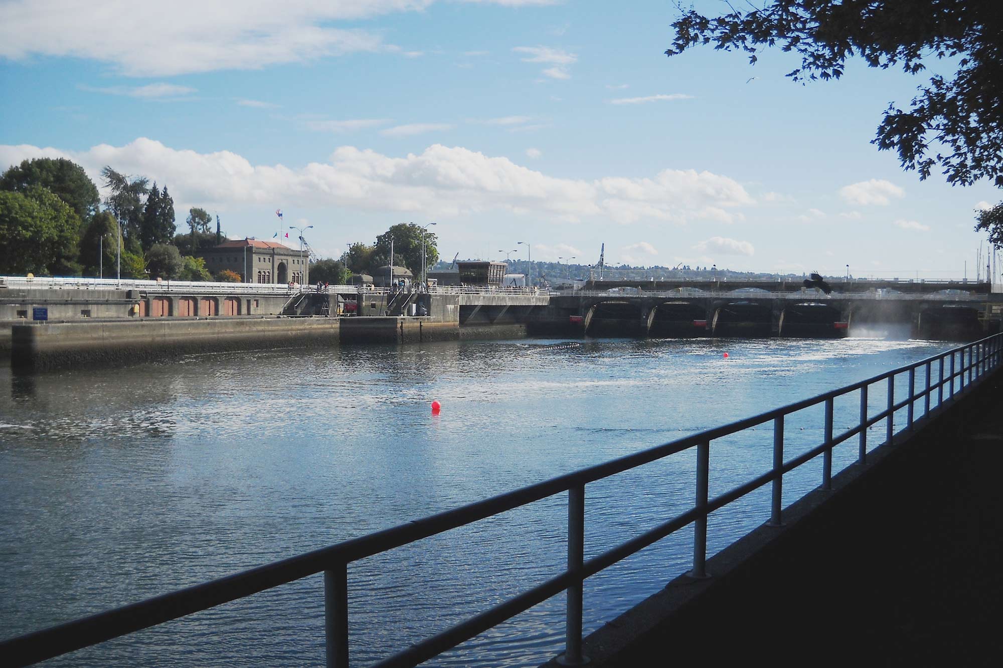 Commodore Park Parks seattle.gov