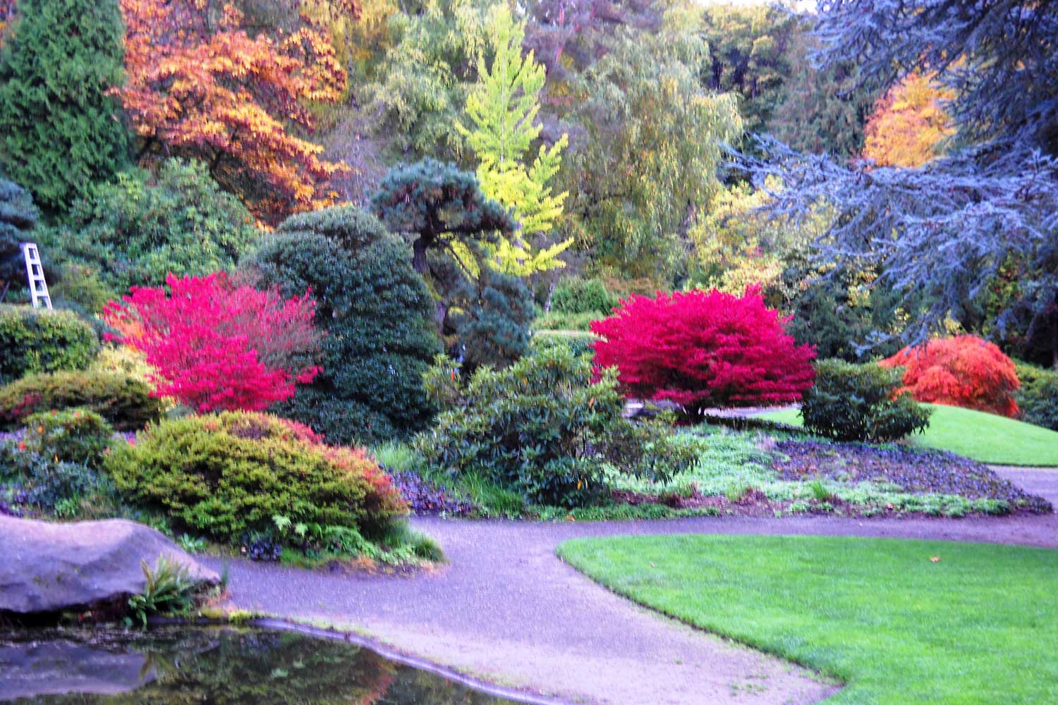 Kubota Garden Parks Seattle Gov