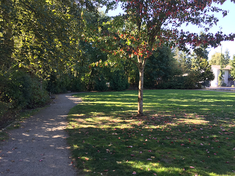 Little Brook Park Parks seattle.gov