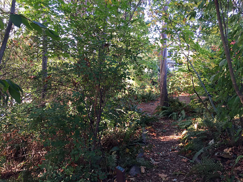 nora s woods parks