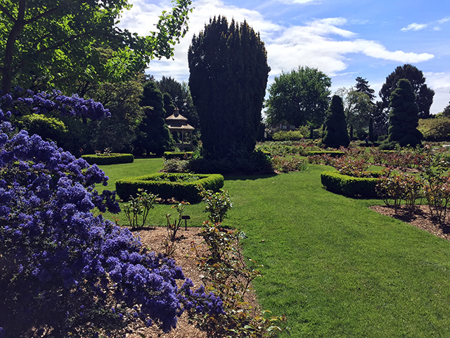 Woodland Park Rose Garden Parks Seattle Gov