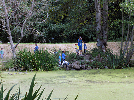 Discovery Nature Camps