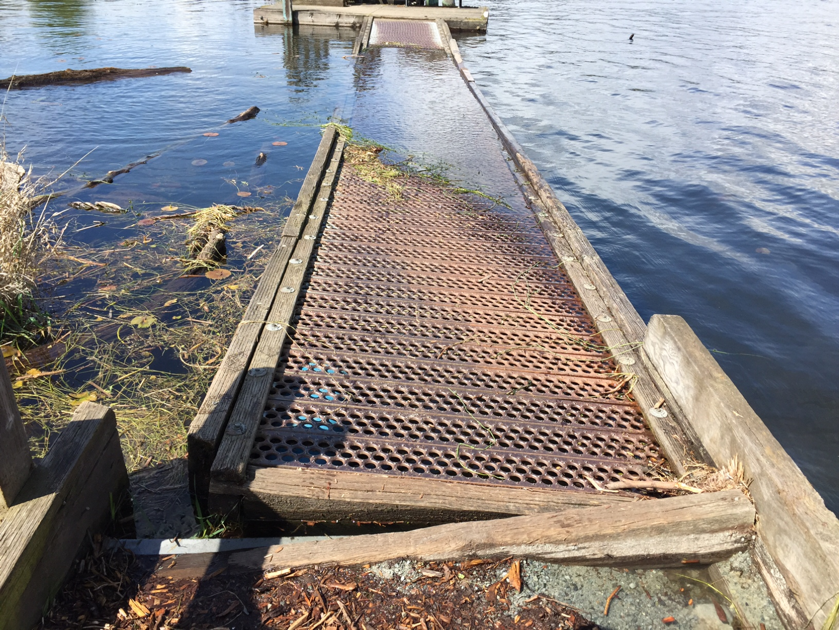 Lake waters flooding over top of boardwalk on trail