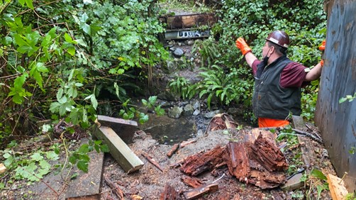 Link to photo of damage to bridge which will be replaced.