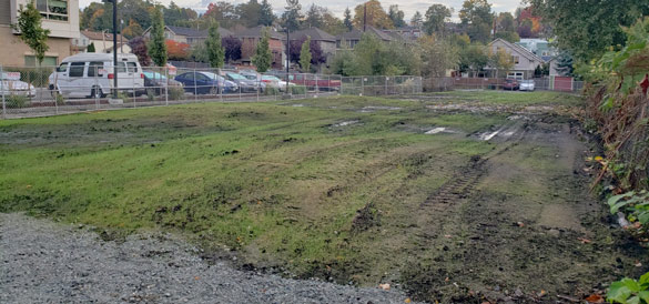Street level photo of cleared and hydroseeded parcel at 3638 34th Avenue South.
