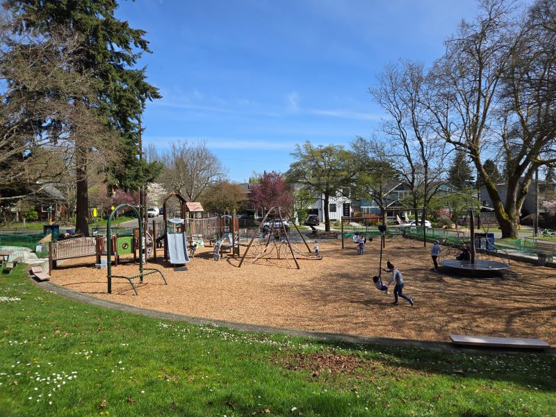 Overview image of salmon bay play area with nature themed green and brown equipment and children playing