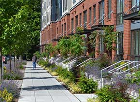 Sidewalk outside Joule Apartments