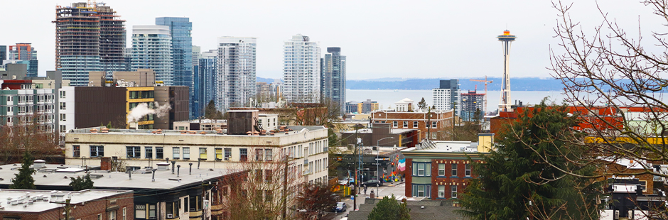 View from Capitol Hill