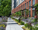 The lanscaping along this sidewalk make a pleasant pedestrian experience.