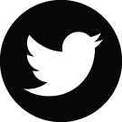 Twitter Icon