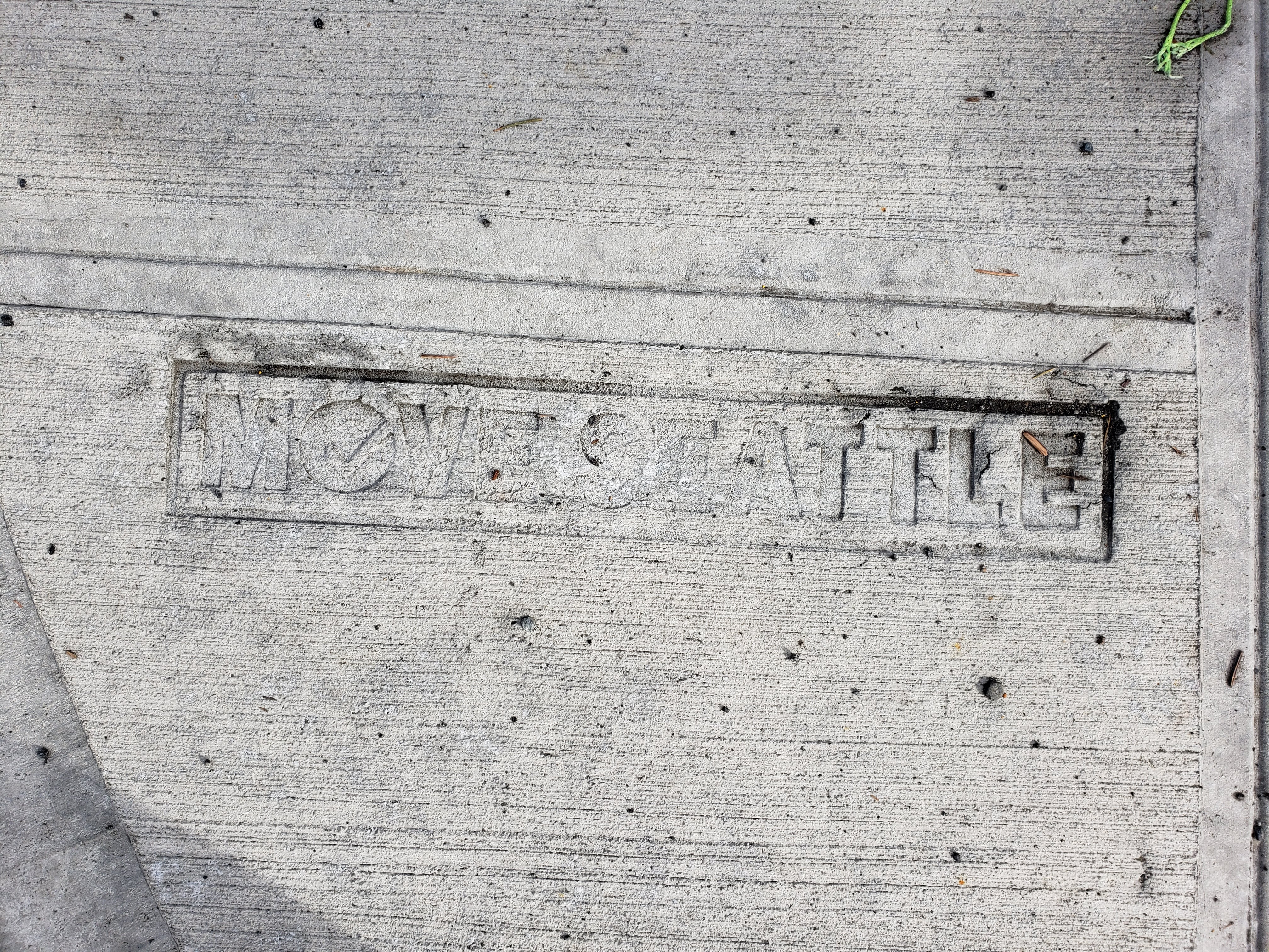 Move Seattle logo imprint on concrete