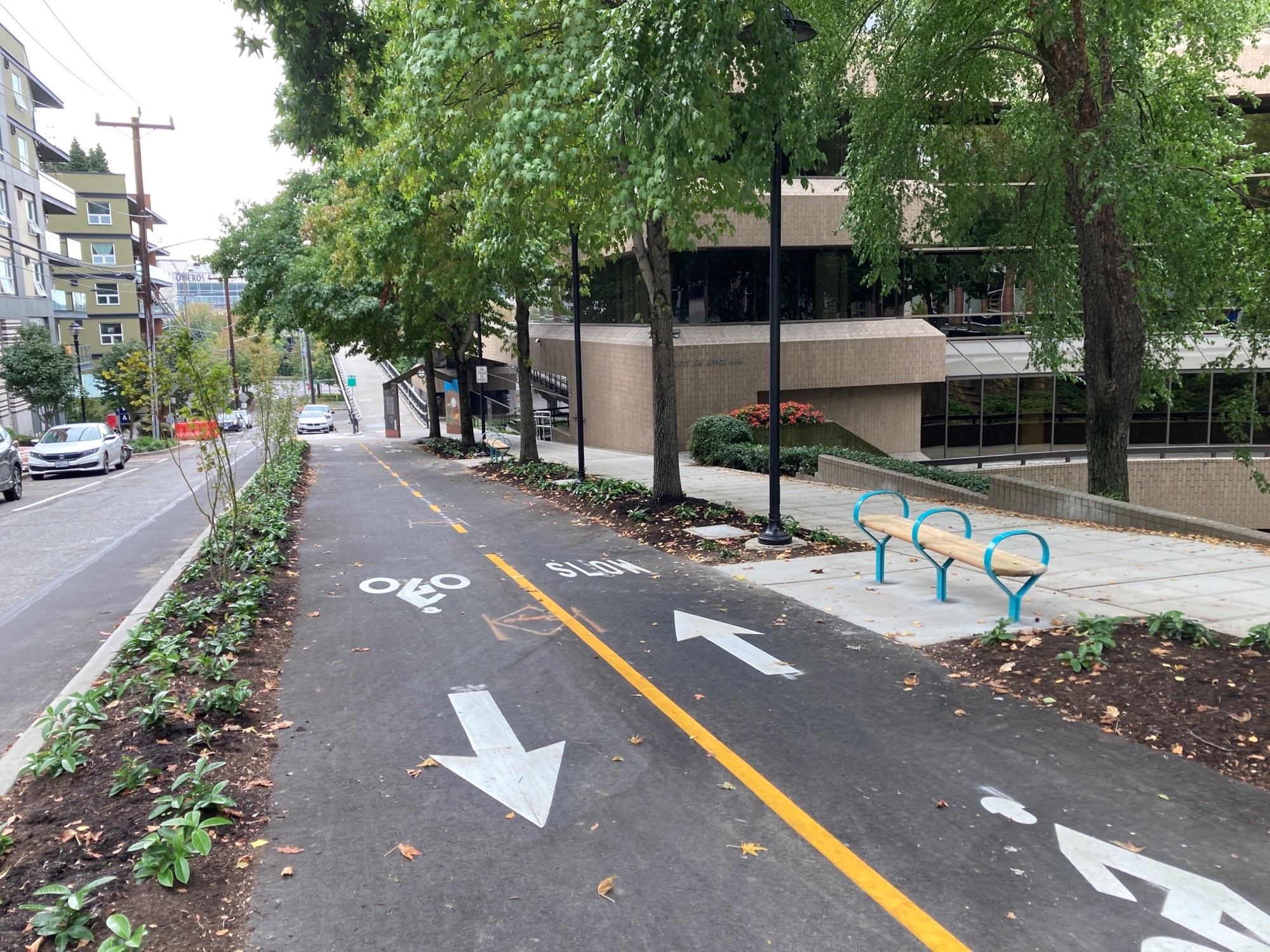 New bike path, landscaping, and bench on 3rd Ave W near the Thomas St Overpass 